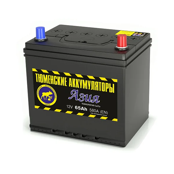 Аккумулятор ТЮМЕНСКИЕ АККУМУЛЯТОРЫ Asia 65Ah euro EN580