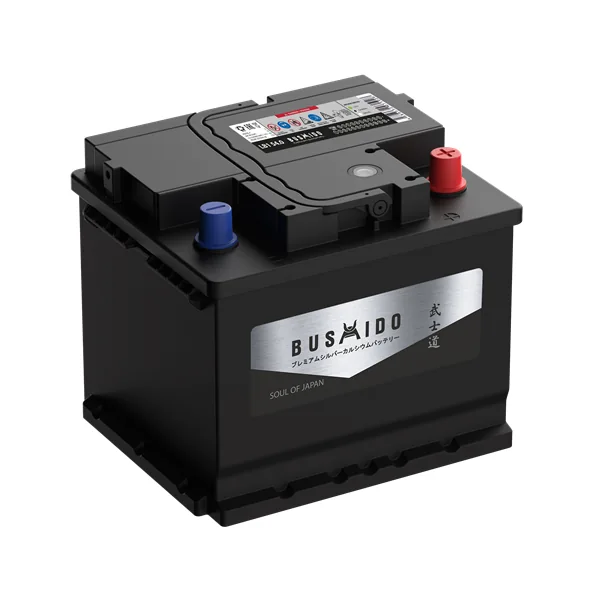 Аккумулятор BUSHIDO SJ 55Ah euro низкий CCA520