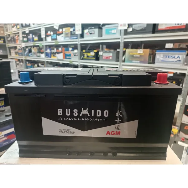 Аккумулятор BUSHIDO AGM 100Ah euro CCA900