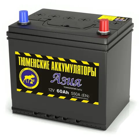 Аккумулятор ТЮМЕНСКИЕ АККУМУЛЯТОРЫ Asia 60 Ач 540 А (EN), обратная полярность, D23