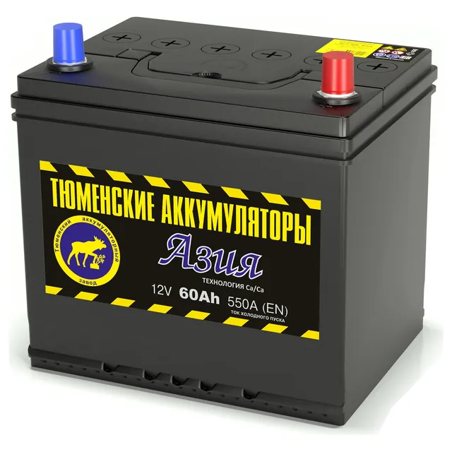 Аккумулятор ТЮМЕНСКИЕ АККУМУЛЯТОРЫ Asia 60 Ач 540 А (EN), обратная полярность, D23