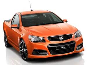 VF (2013–2018)