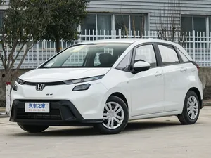 GS (2026–2026)