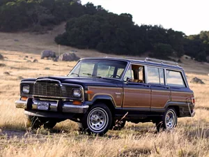 SJ (1981–1983)