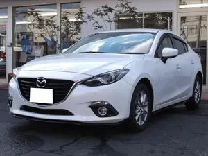 BM (2013–2016)