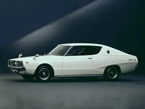 C110 (1975–1977)